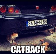 Avatar do Utilizador