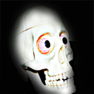 Avatar do Utilizador