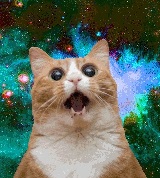 Avatar do Utilizador