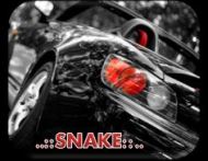 Avatar do Utilizador