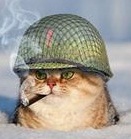 Avatar do Utilizador