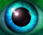 Avatar do Utilizador