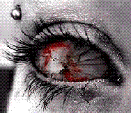 Avatar do Utilizador